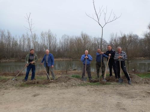 Brigáda - výsadba stromom na brehu Malého Dunaja